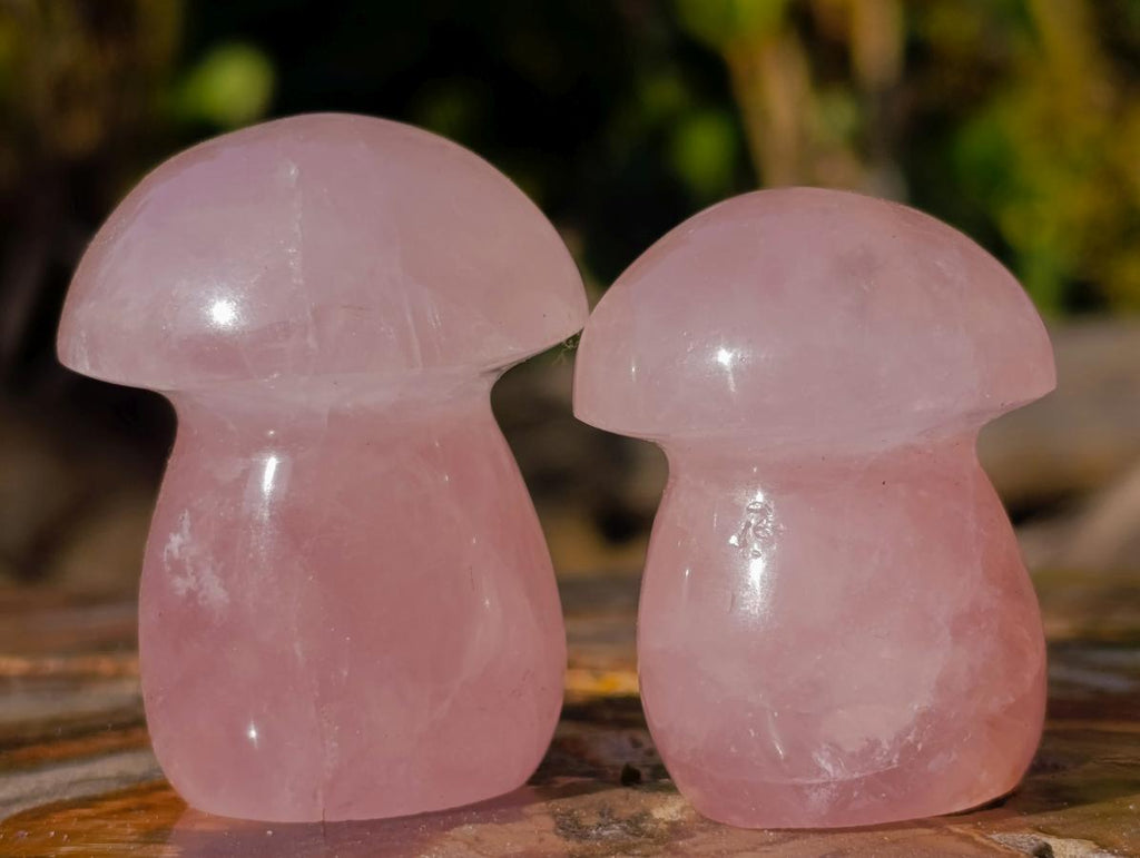 Polished Gemmy Rose Quartz Mushrooms x 24 From Madagascar - Toprock Gemstones and Minerals 