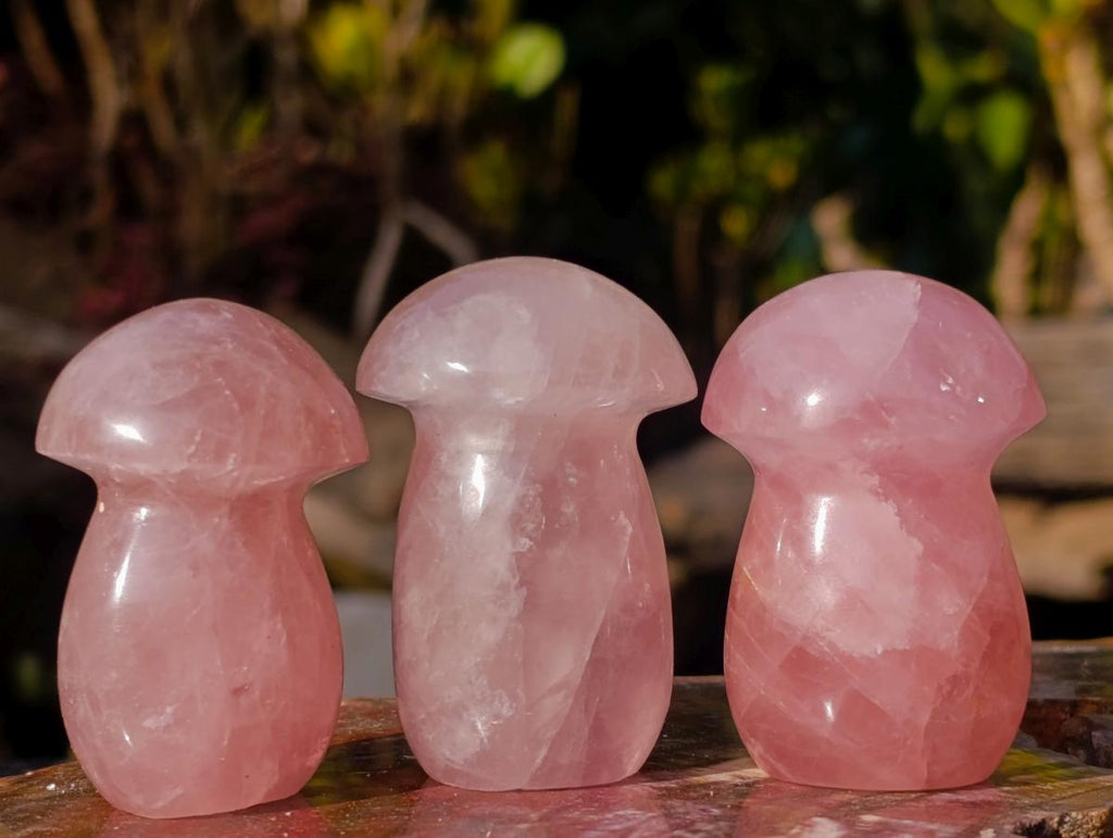 Polished Gemmy Rose Quartz Mushrooms x 24 From Madagascar - Toprock Gemstones and Minerals 