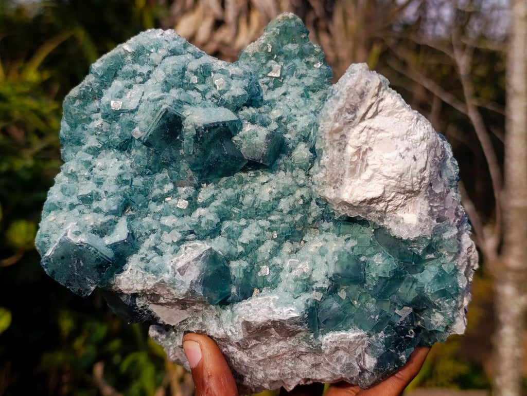 Natural Large Green Cubic Fluorite Specimen x 1 From Mandrosonoro, Madagascar - Toprock Gemstones and Minerals 