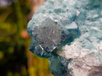 Natural Large Green Cubic Fluorite Specimen x 1 From Mandrosonoro, Madagascar - Toprock Gemstones and Minerals 