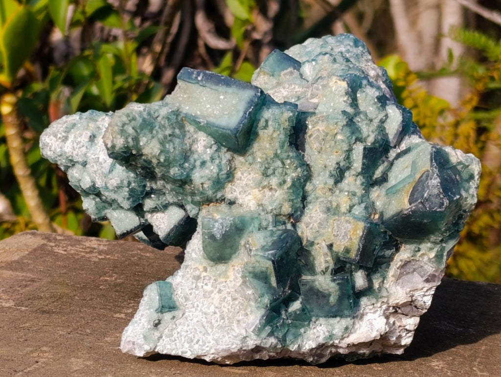 Natural Large Green Cubic Fluorite Specimen x 1 From Mandrosonoro, Madagascar - Toprock Gemstones and Minerals 
