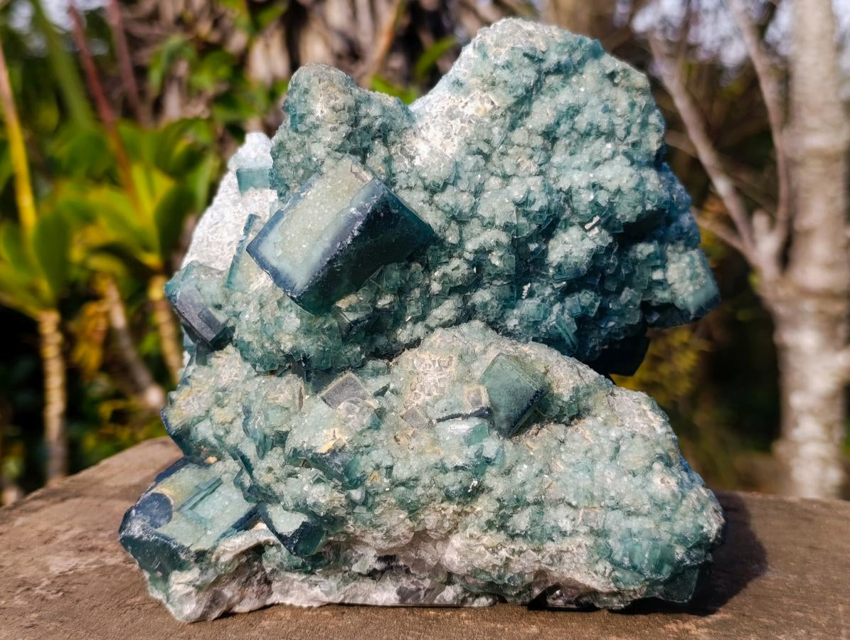 Natural Large Green Cubic Fluorite Specimen x 1 From Mandrosonoro, Madagascar - Toprock Gemstones and Minerals 
