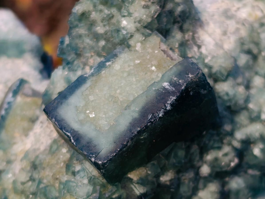 Natural Large Green Cubic Fluorite Specimen x 1 From Mandrosonoro, Madagascar - Toprock Gemstones and Minerals 