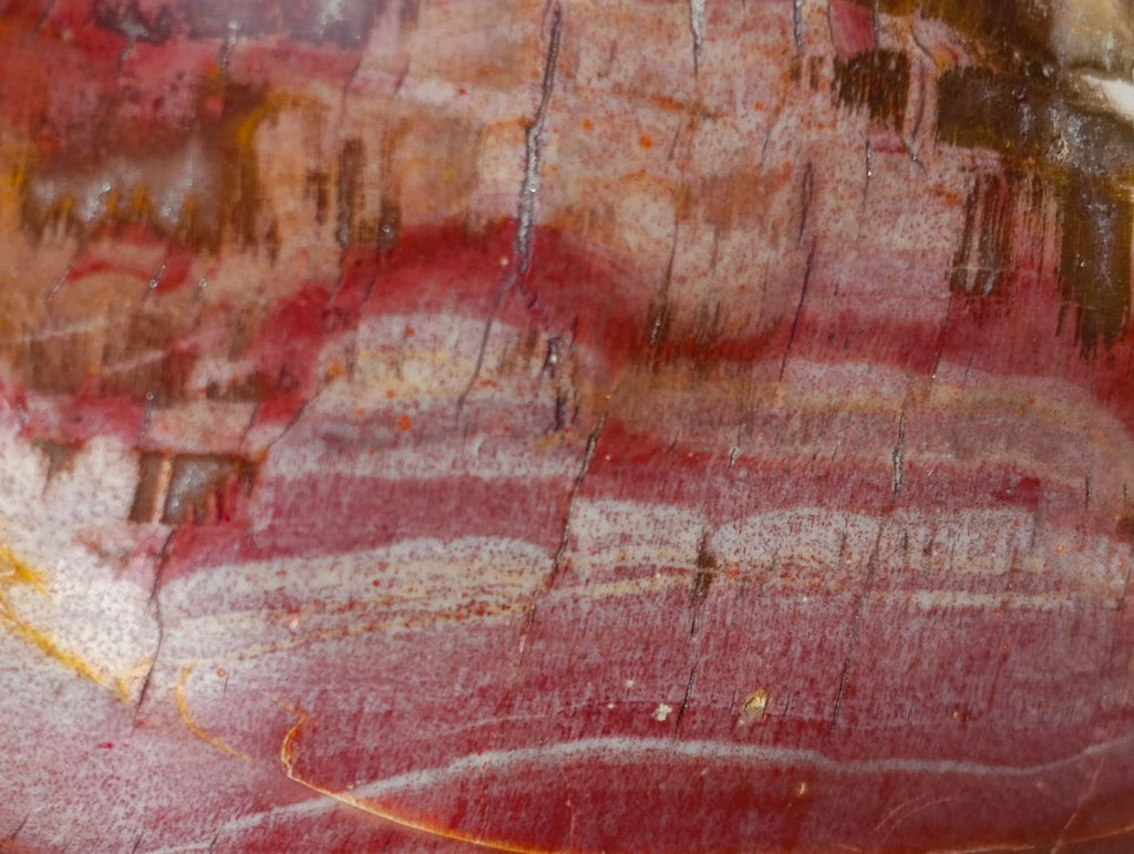 Polished Red Podocarpus Petrified Wood Standing Display Pieces x 3 From Mahajanga, Madagascar - Toprock Gemstones and Minerals 