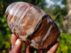 Polished Red Podocarpus Petrified Wood Standing Display Pieces x 3 From Mahajanga, Madagascar - Toprock Gemstones and Minerals 