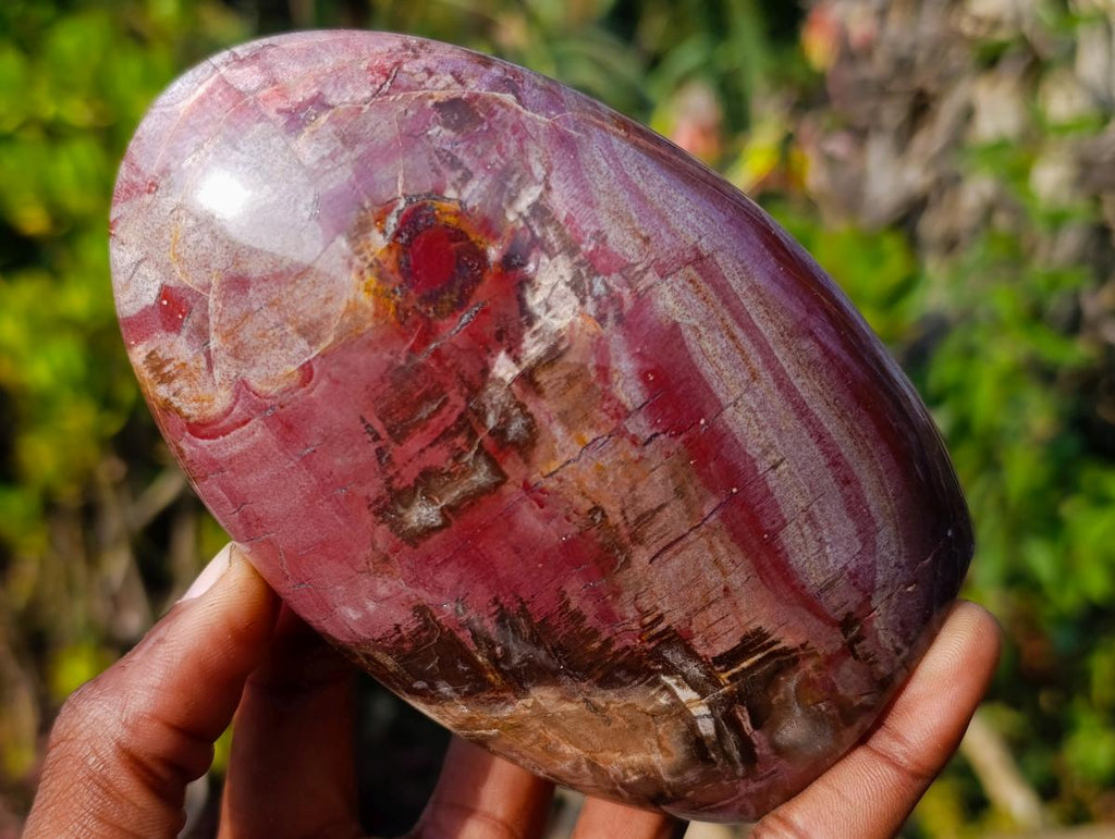 Polished Red Podocarpus Petrified Wood Standing Display Pieces x 3 From Mahajanga, Madagascar - Toprock Gemstones and Minerals 