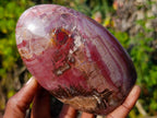 Polished Red Podocarpus Petrified Wood Standing Display Pieces x 3 From Mahajanga, Madagascar - Toprock Gemstones and Minerals 