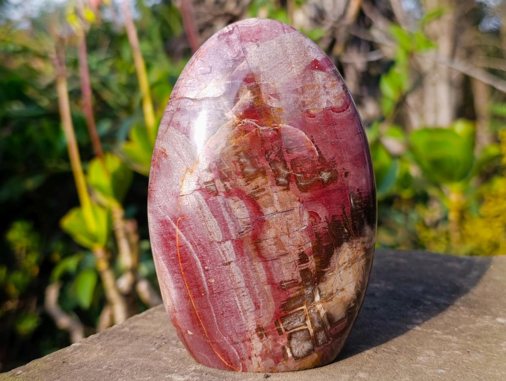 Polished Red Podocarpus Petrified Wood Standing Display Pieces x 3 From Mahajanga, Madagascar - Toprock Gemstones and Minerals 