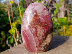 Polished Red Podocarpus Petrified Wood Standing Display Pieces x 3 From Mahajanga, Madagascar - Toprock Gemstones and Minerals 