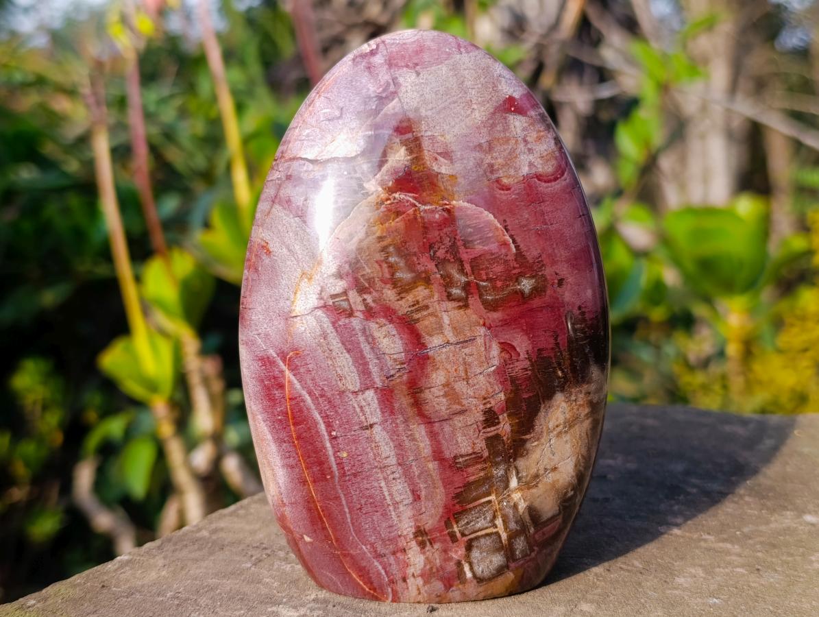 Polished Red Podocarpus Petrified Wood Standing Display Pieces x 3 From Mahajanga, Madagascar - Toprock Gemstones and Minerals 