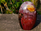 Polished Red Podocarpus Petrified Wood Standing Display Pieces x 3 From Mahajanga, Madagascar - Toprock Gemstones and Minerals 