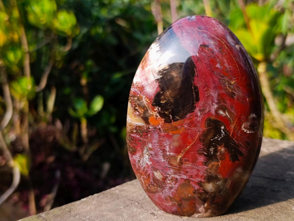 Polished Red Podocarpus Petrified Wood Standing Display Pieces x 3 From Mahajanga, Madagascar - Toprock Gemstones and Minerals 