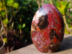 Polished Red Podocarpus Petrified Wood Standing Display Pieces x 3 From Mahajanga, Madagascar - Toprock Gemstones and Minerals 