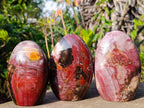 Polished Red Podocarpus Petrified Wood Standing Display Pieces x 3 From Mahajanga, Madagascar - Toprock Gemstones and Minerals 