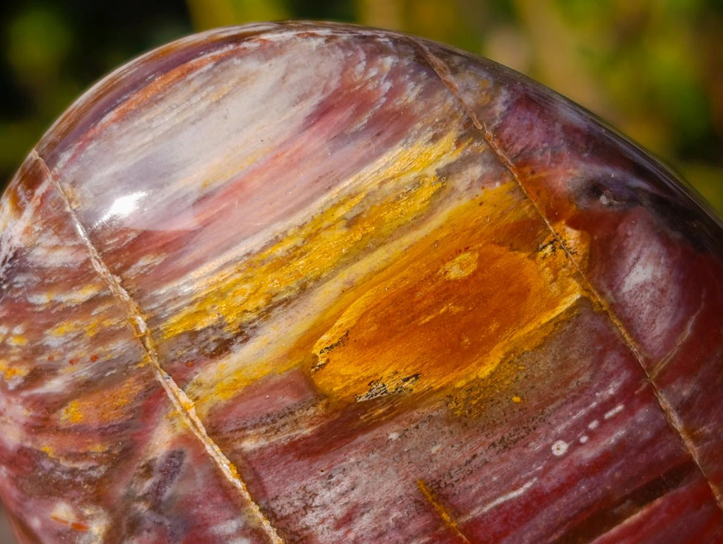 Polished Red Podocarpus Petrified Wood Standing Display Pieces x 3 From Mahajanga, Madagascar - Toprock Gemstones and Minerals 