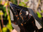 Polished Septerye Sauvage Display Crystals x 3 From Mahajanga, Madagascar - Toprock Gemstones and Minerals 