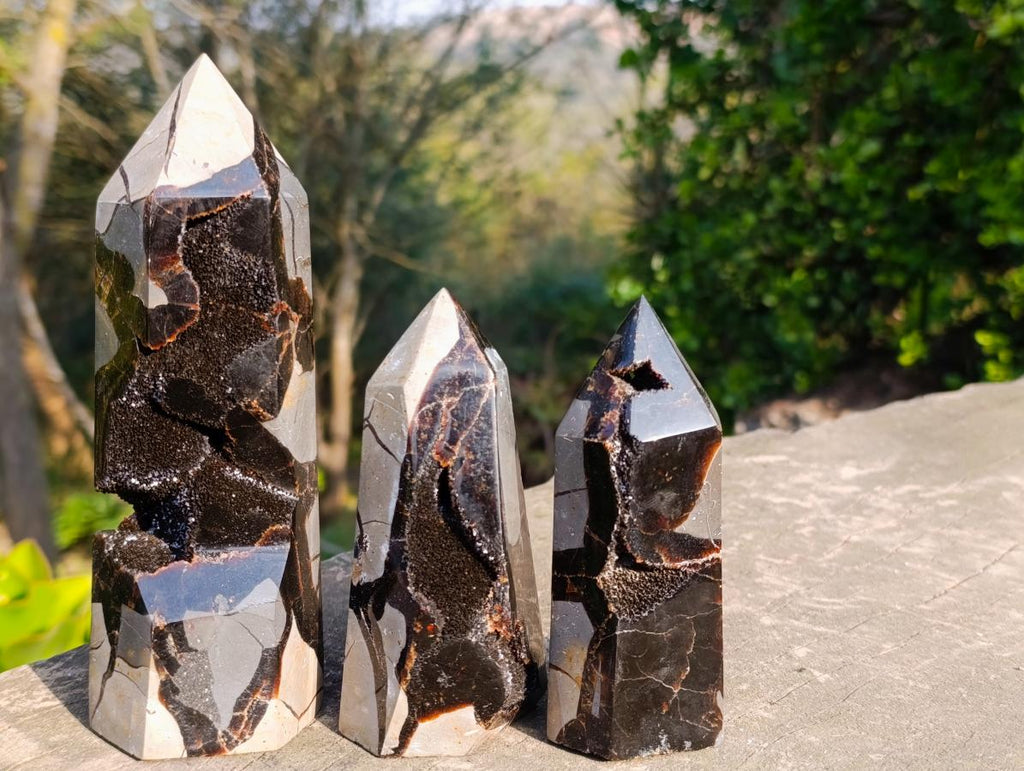 Polished Septerye Sauvage Display Crystals x 3 From Mahajanga, Madagascar - Toprock Gemstones and Minerals 