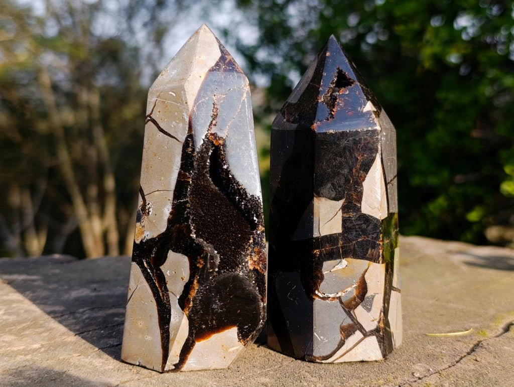 Polished Septerye Sauvage Display Crystals x 3 From Mahajanga, Madagascar - Toprock Gemstones and Minerals 