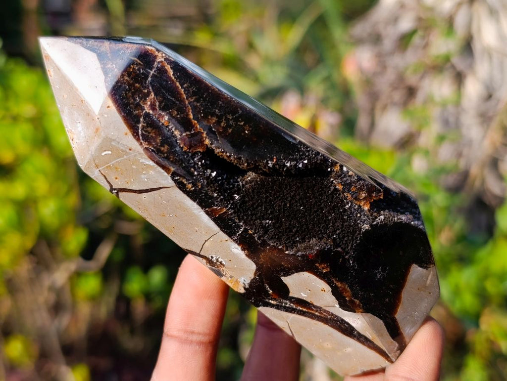 Polished Septerye Sauvage Display Crystals x 3 From Mahajanga, Madagascar - Toprock Gemstones and Minerals 