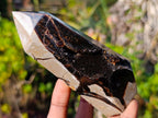 Polished Septerye Sauvage Display Crystals x 3 From Mahajanga, Madagascar - Toprock Gemstones and Minerals 
