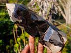 Polished Septerye Sauvage Display Crystals x 3 From Mahajanga, Madagascar - Toprock Gemstones and Minerals 