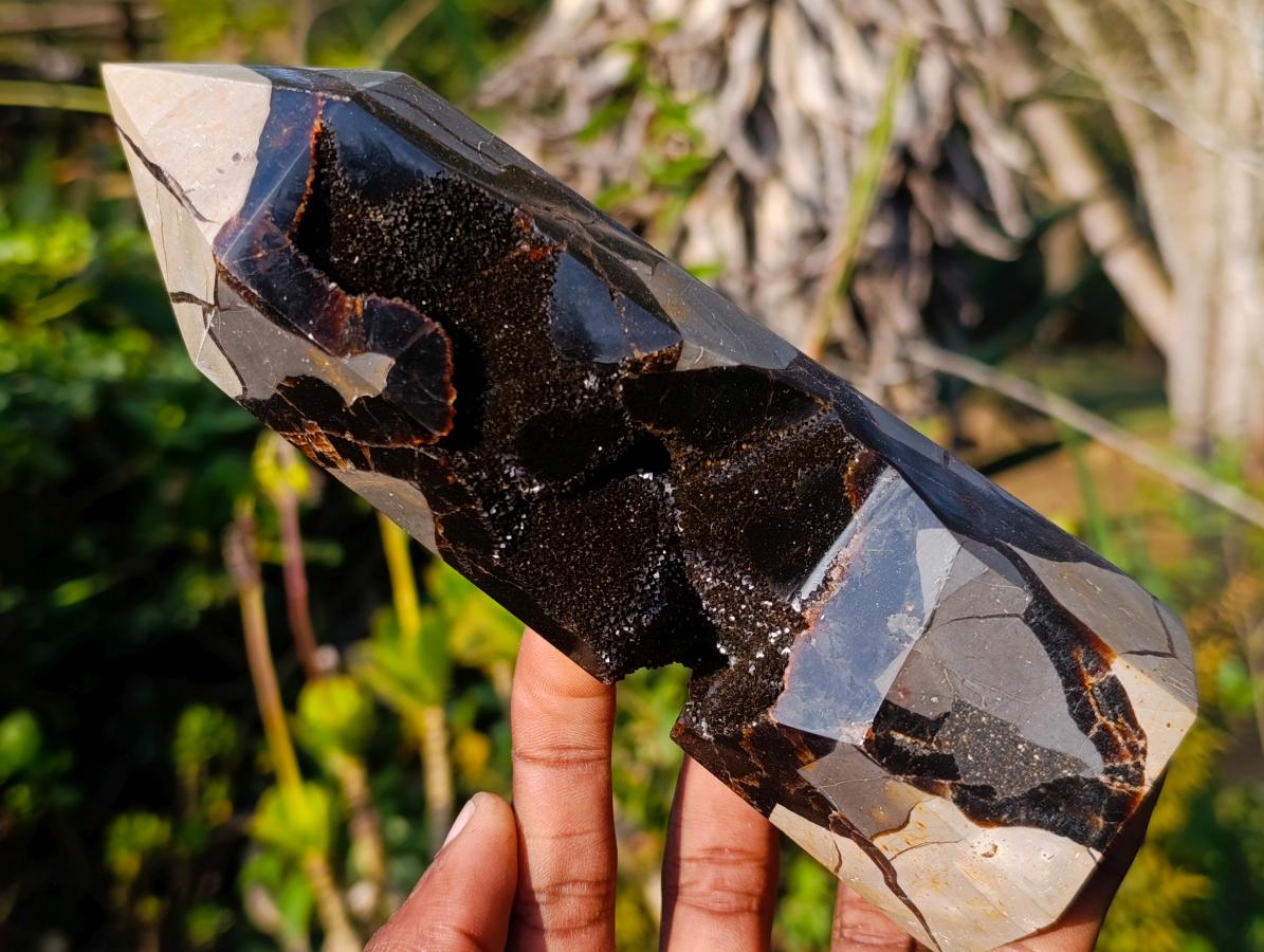 Polished Septerye Sauvage Display Crystals x 3 From Mahajanga, Madagascar - Toprock Gemstones and Minerals 