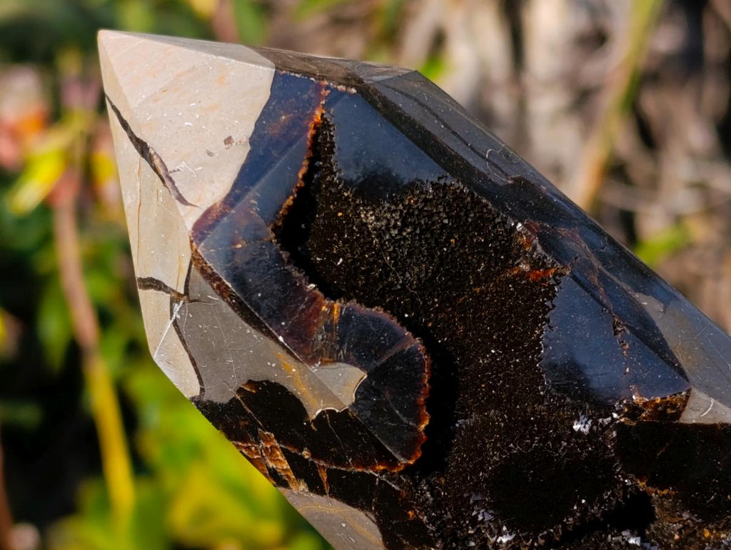 Polished Septerye Sauvage Display Crystals x 3 From Mahajanga, Madagascar - Toprock Gemstones and Minerals 