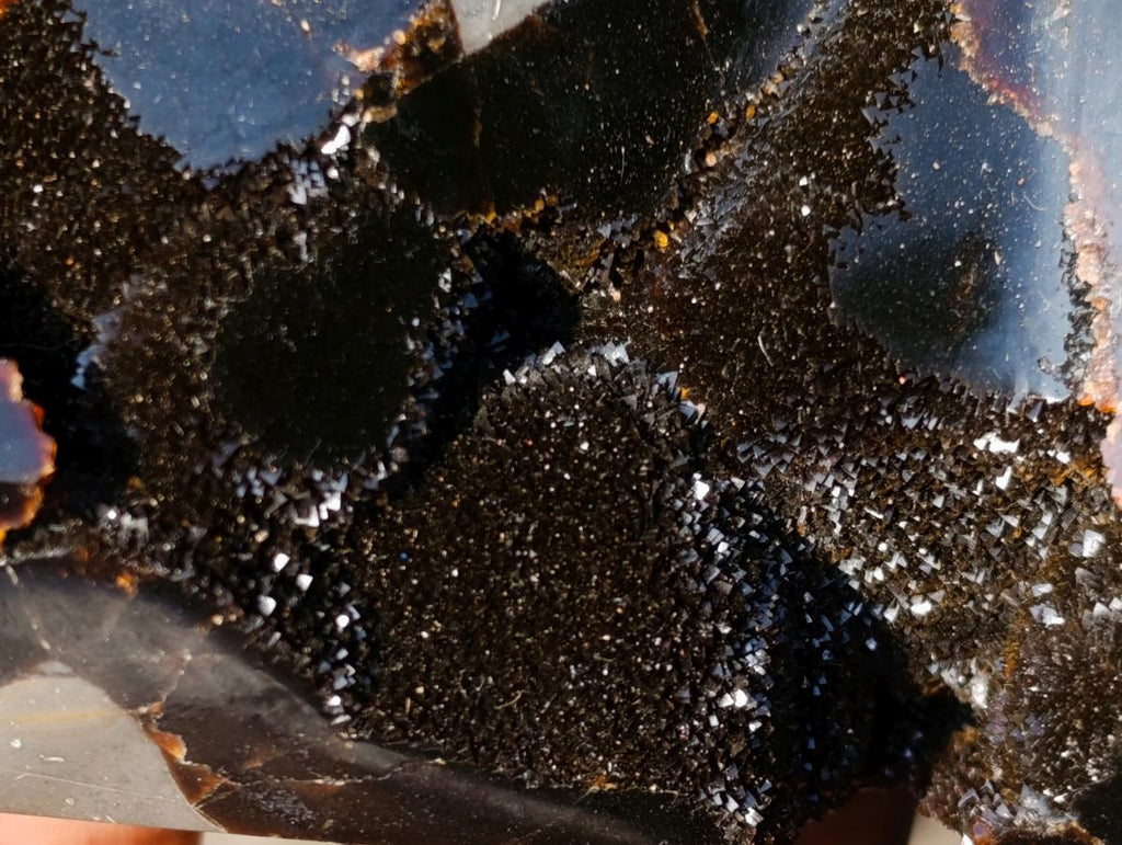 Polished Septerye Sauvage Display Crystals x 3 From Mahajanga, Madagascar - Toprock Gemstones and Minerals 