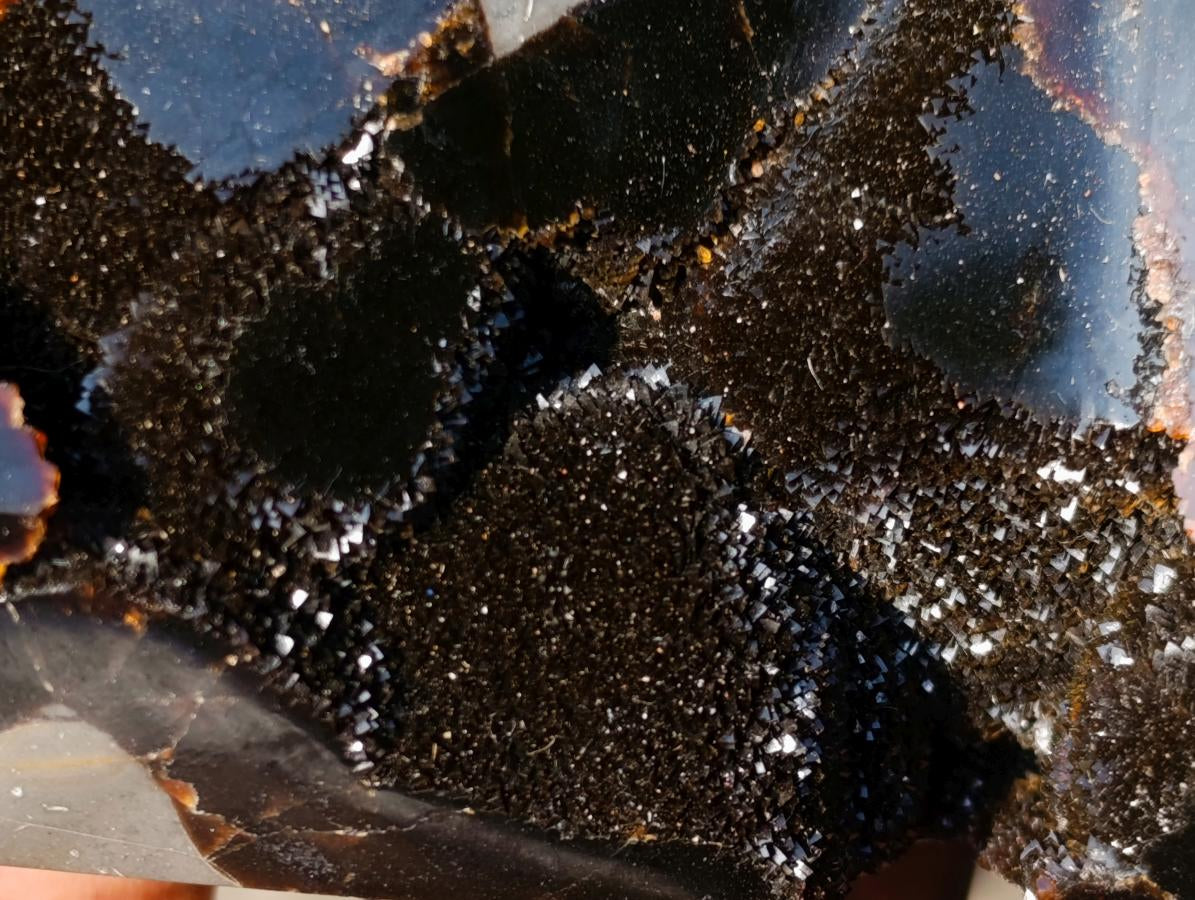 Polished Septerye Sauvage Display Crystals x 3 From Mahajanga, Madagascar - Toprock Gemstones and Minerals 