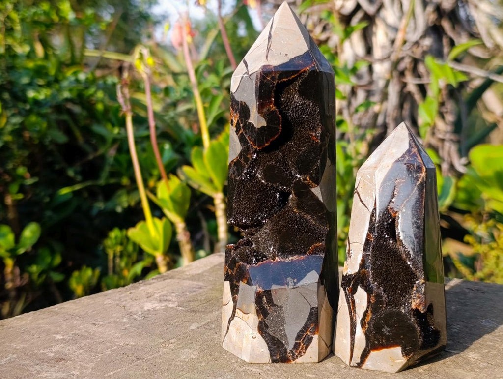 Polished Septerye Sauvage Display Crystals x 3 From Mahajanga, Madagascar - Toprock Gemstones and Minerals 