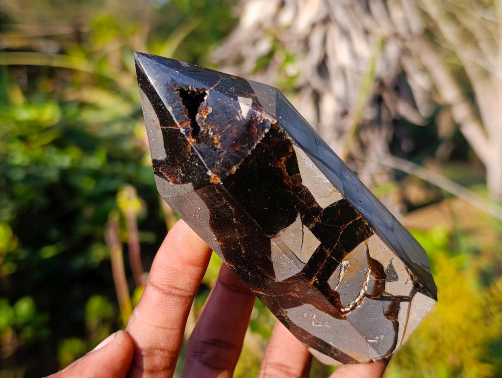 Polished Septerye Sauvage Display Crystals x 3 From Mahajanga, Madagascar - Toprock Gemstones and Minerals 
