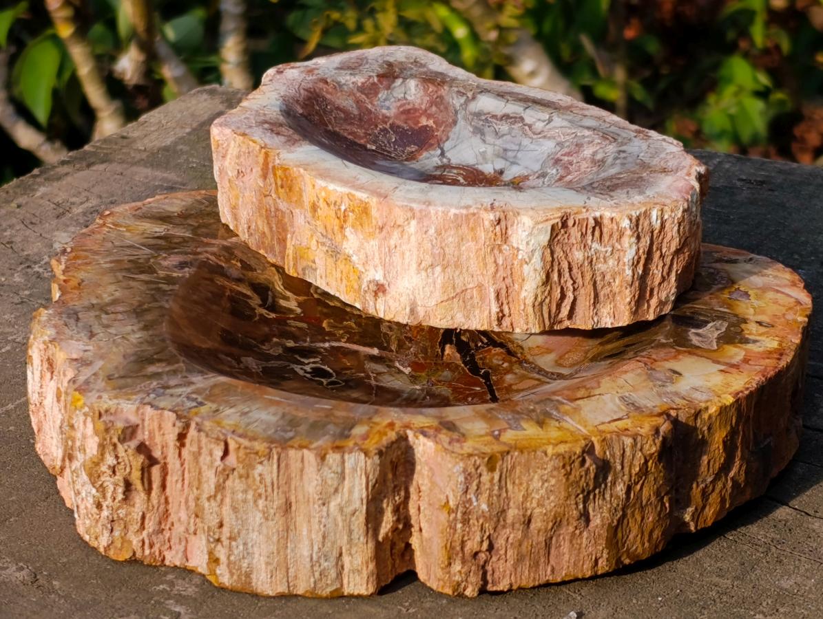 Polished Red Podocarpus Petrified Wood Bowls x 2 From Mahajanga, Madagascar - Toprock Gemstones and Minerals 