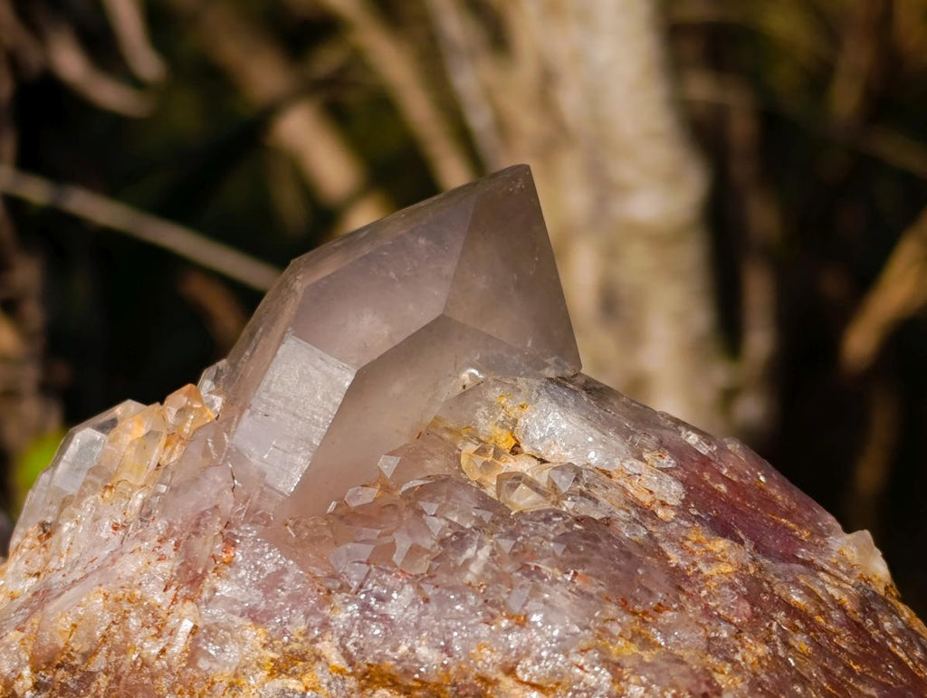 Natural XL Hematoid Quartz Cluster x 1 From Zambia - Toprock Gemstones and Minerals 