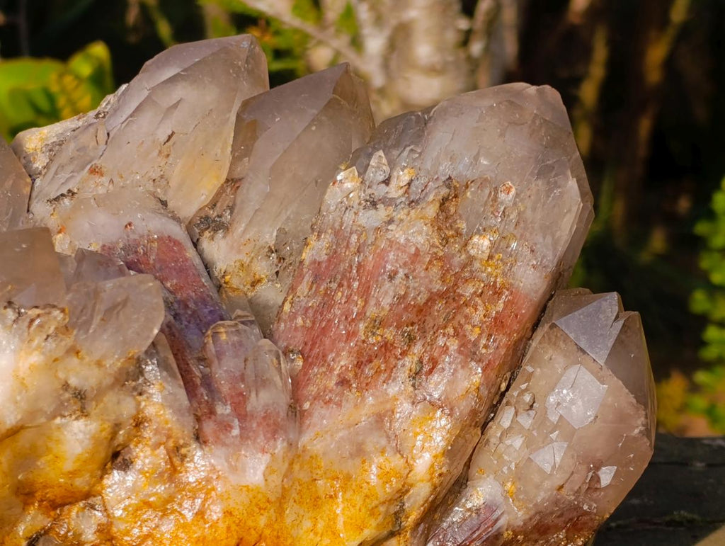 Natural XL Hematoid Quartz Cluster x 1 From Zambia - Toprock Gemstones and Minerals 