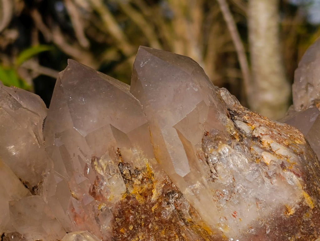 Natural XL Hematoid Quartz Cluster x 1 From Zambia - Toprock Gemstones and Minerals 