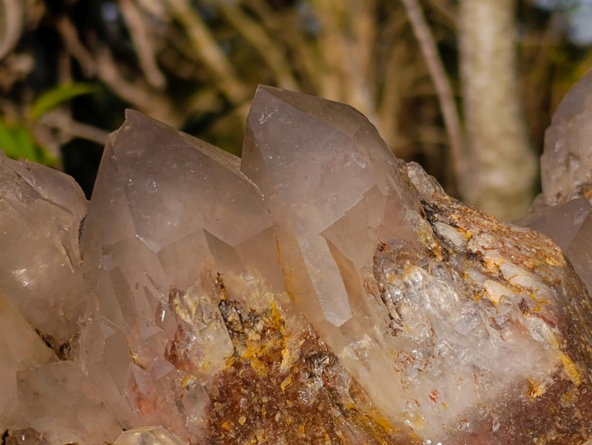 Natural XL Hematoid Quartz Cluster x 1 From Zambia - Toprock Gemstones and Minerals 