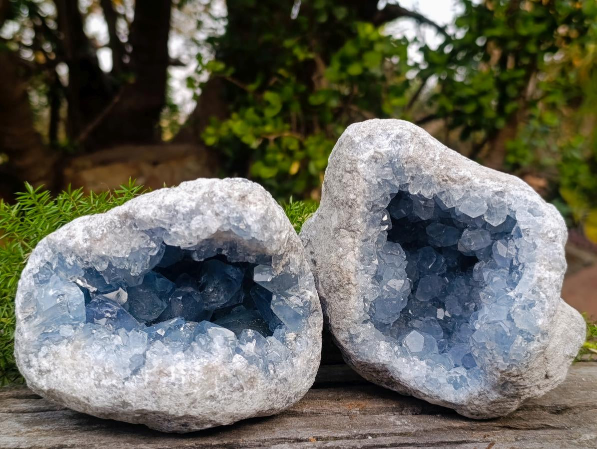 Natural Blue Celestite Geode Specimens x 2 From Sakoany, Madagascar - Toprock Gemstones and Minerals 