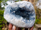 Natural Blue Celestite Geode Specimens x 2 From Sakoany, Madagascar - Toprock Gemstones and Minerals 