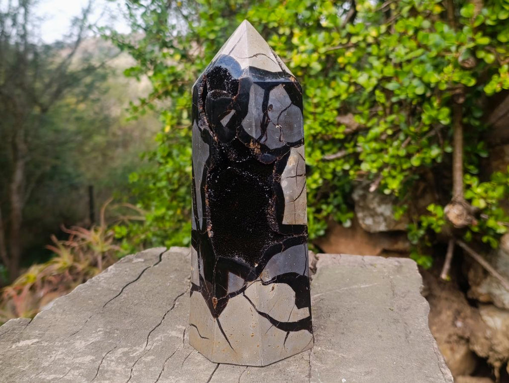 Polished Large Septerye Sauvage Tower x 1 From Mahajanga, Madagascar - Toprock Gemstones and Minerals 