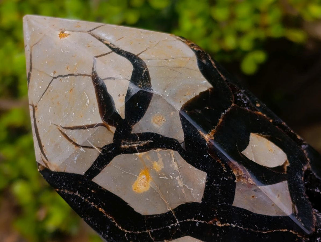 Polished Large Septerye Sauvage Tower x 1 From Mahajanga, Madagascar - Toprock Gemstones and Minerals 