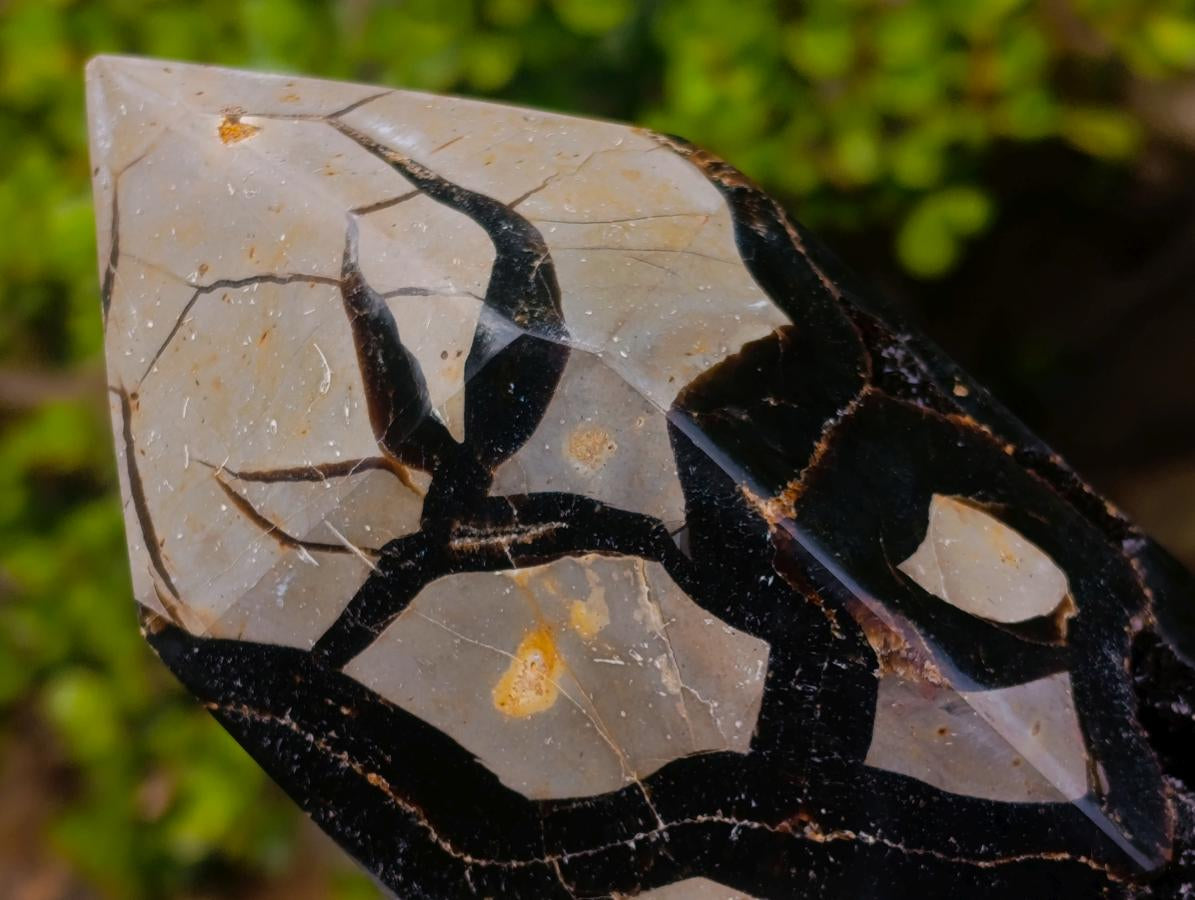 Polished Large Septerye Sauvage Tower x 1 From Mahajanga, Madagascar - Toprock Gemstones and Minerals 