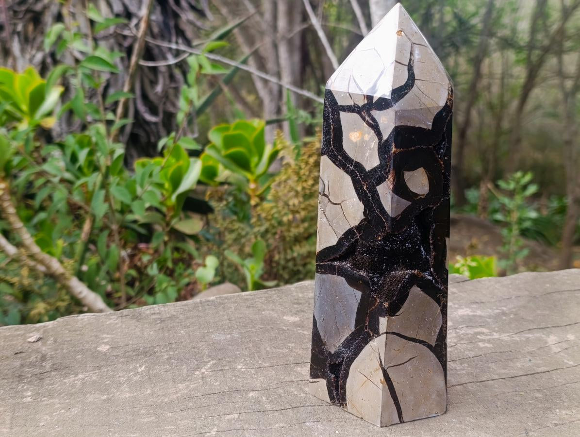 Polished Large Septerye Sauvage Tower x 1 From Mahajanga, Madagascar - Toprock Gemstones and Minerals 