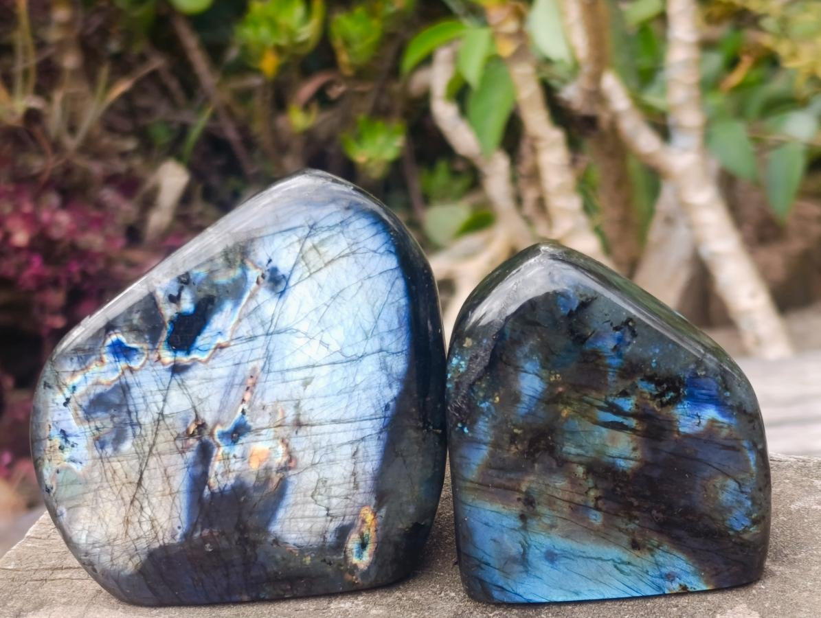 Polished Labradorite Standing Display Pieces x 6 From Madagascar - Toprock Gemstones and Minerals 