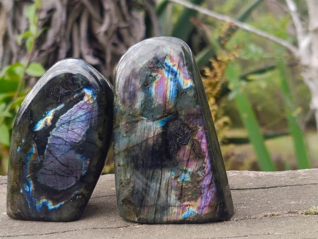 Polished Labradorite Standing Display Pieces x 6 From Madagascar - Toprock Gemstones and Minerals 