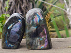Polished Labradorite Standing Display Pieces x 6 From Madagascar - Toprock Gemstones and Minerals 