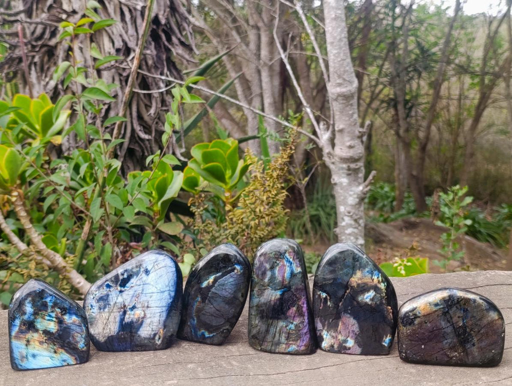 Polished Labradorite Standing Display Pieces x 6 From Madagascar - Toprock Gemstones and Minerals 