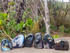 Polished Labradorite Standing Display Pieces x 6 From Madagascar - Toprock Gemstones and Minerals 
