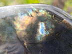 Polished Labradorite Standing Display Pieces x 6 From Madagascar - Toprock Gemstones and Minerals 