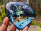 Polished Labradorite Standing Display Pieces x 6 From Madagascar - Toprock Gemstones and Minerals 