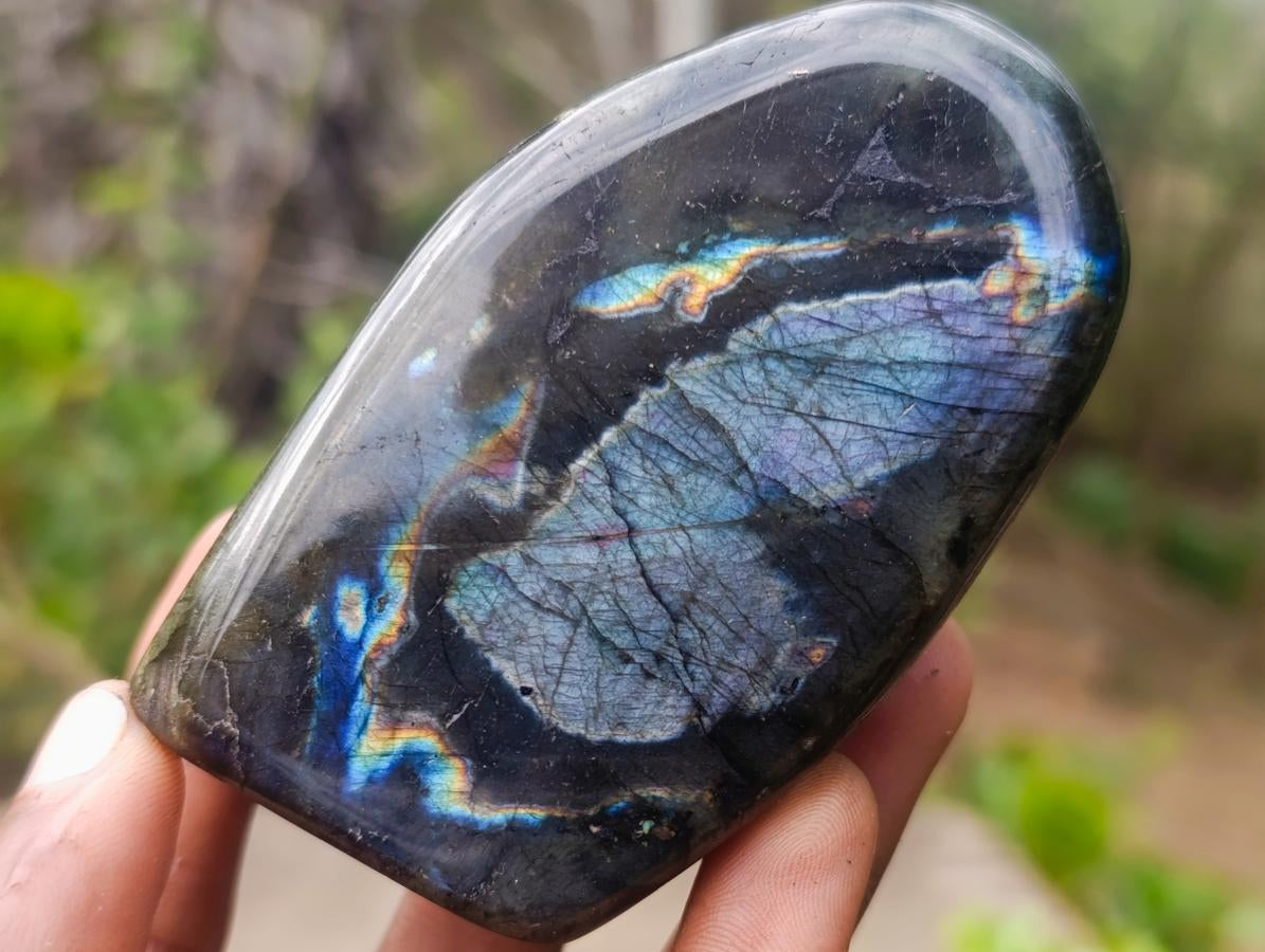 Polished Labradorite Standing Display Pieces x 6 From Madagascar - Toprock Gemstones and Minerals 